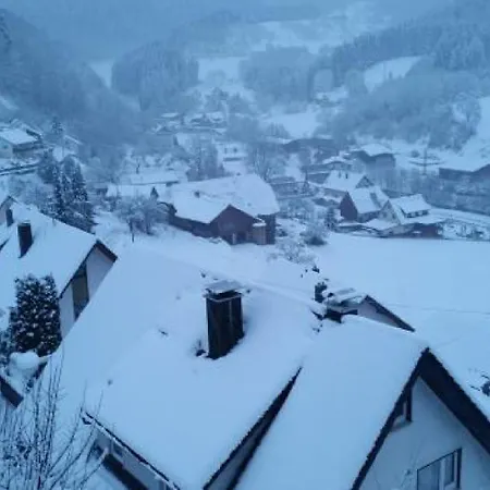 Schwarzwald-ferienwohnung Lehmann Oppenau